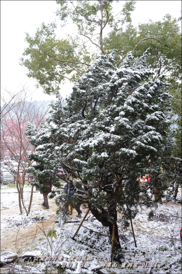 雪18.jpg