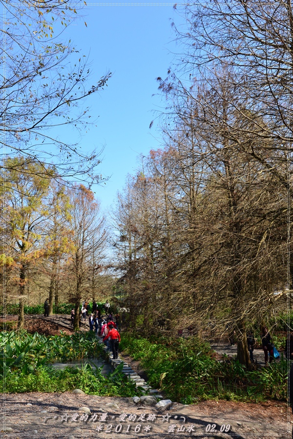 雲山水19.jpg 雲山水19.jpg