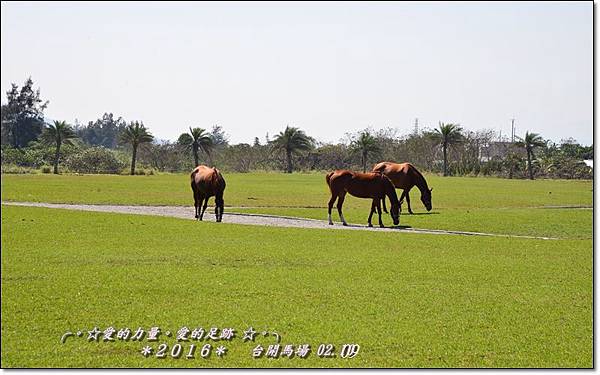 馬場2.jpg