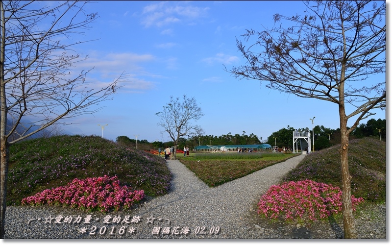 花海1.jpg 花海1.jpg