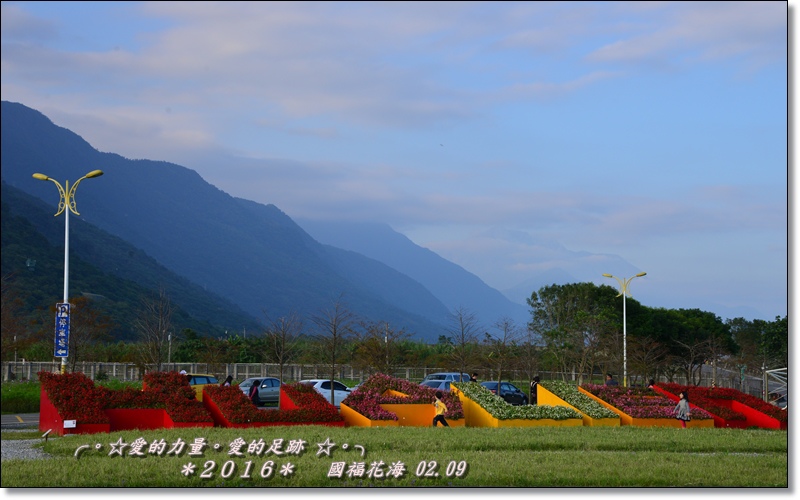 花海2.jpg 花海2.jpg