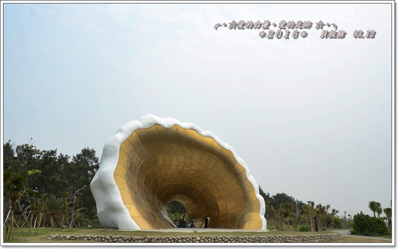 貝殼2.jpg 貝殼2.jpg