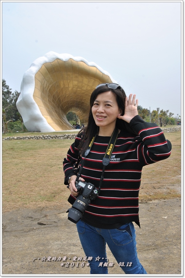 貝殼4.jpg 貝殼4.jpg