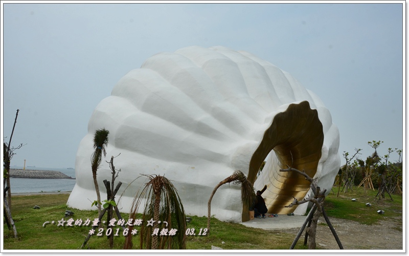 貝殼9.jpg 貝殼9.jpg