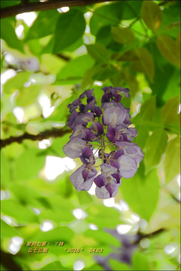 公園1.jpg 公園1.jpg
