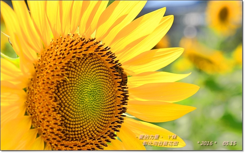 彰化7.jpg 彰化7.jpg