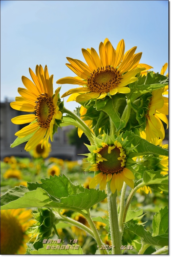 彰化5.jpg 彰化5.jpg