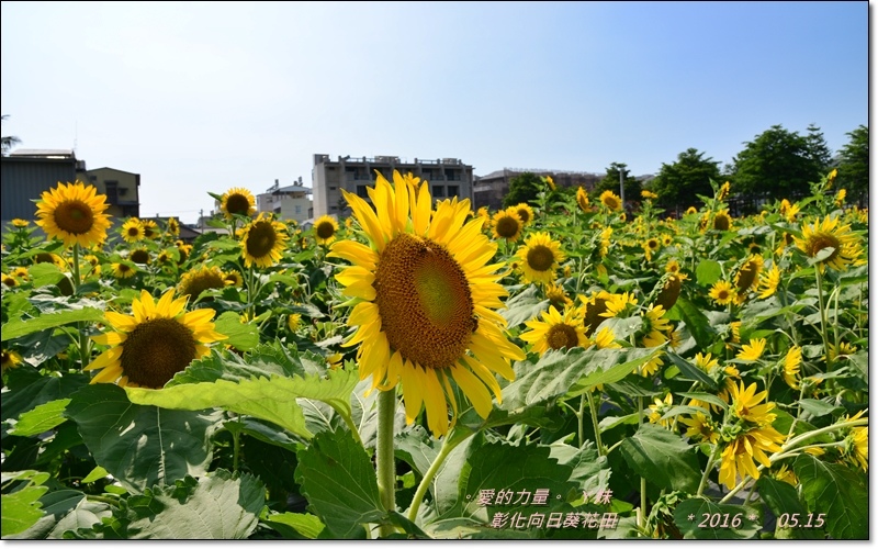 彰化10.jpg 彰化10.jpg