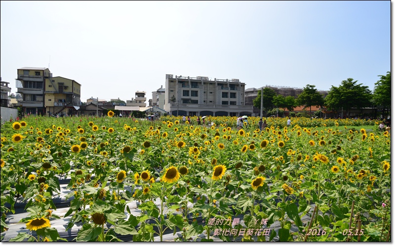 彰化9.jpg 彰化9.jpg