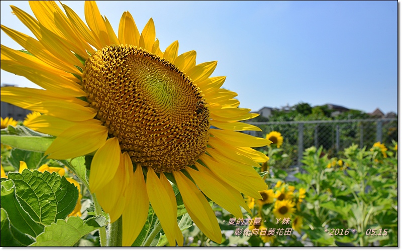 彰化8.jpg 彰化8.jpg