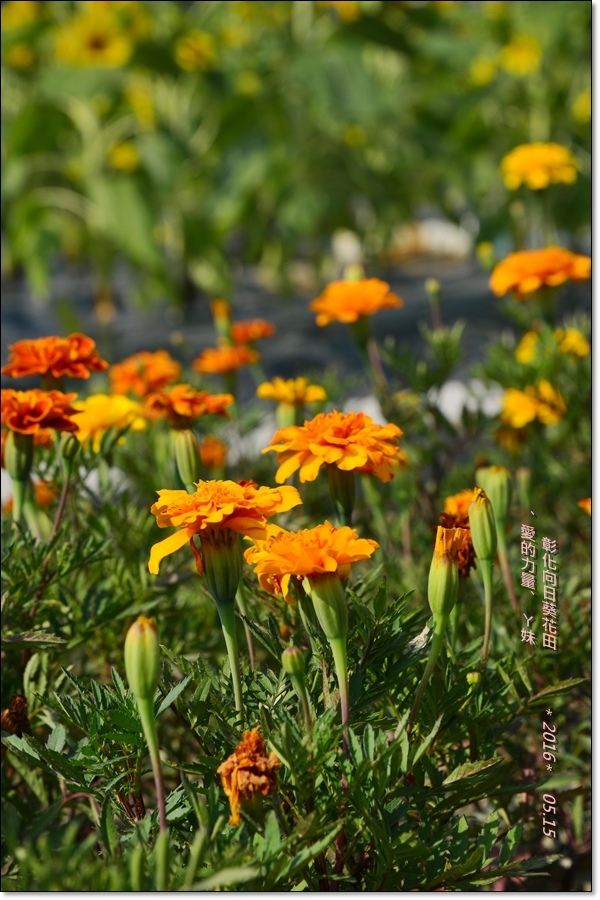 彰化21.jpg 彰化21.jpg