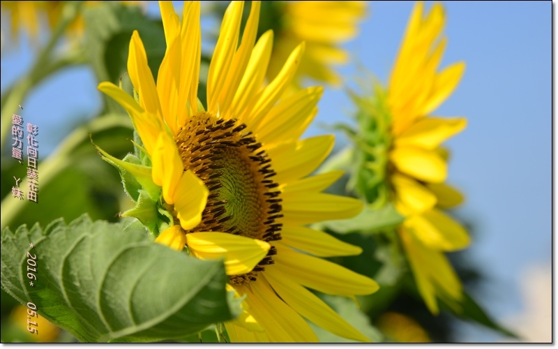 彰化24.jpg 彰化24.jpg