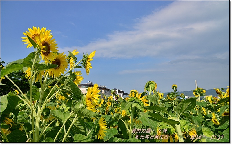 彰化25.jpg 彰化25.jpg