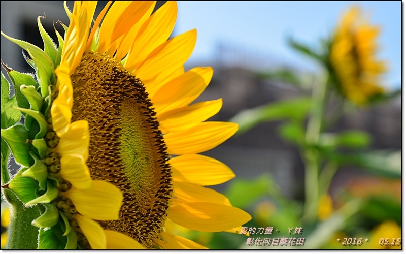 彰化27.jpg 彰化27.jpg