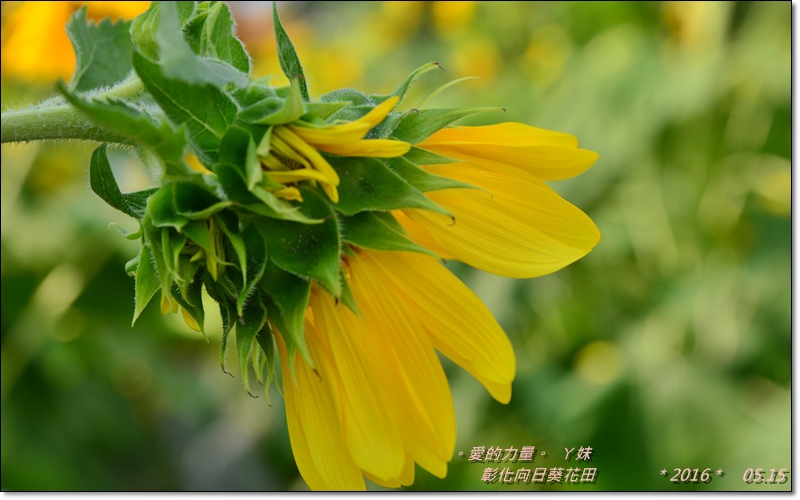 彰化26.jpg 彰化26.jpg