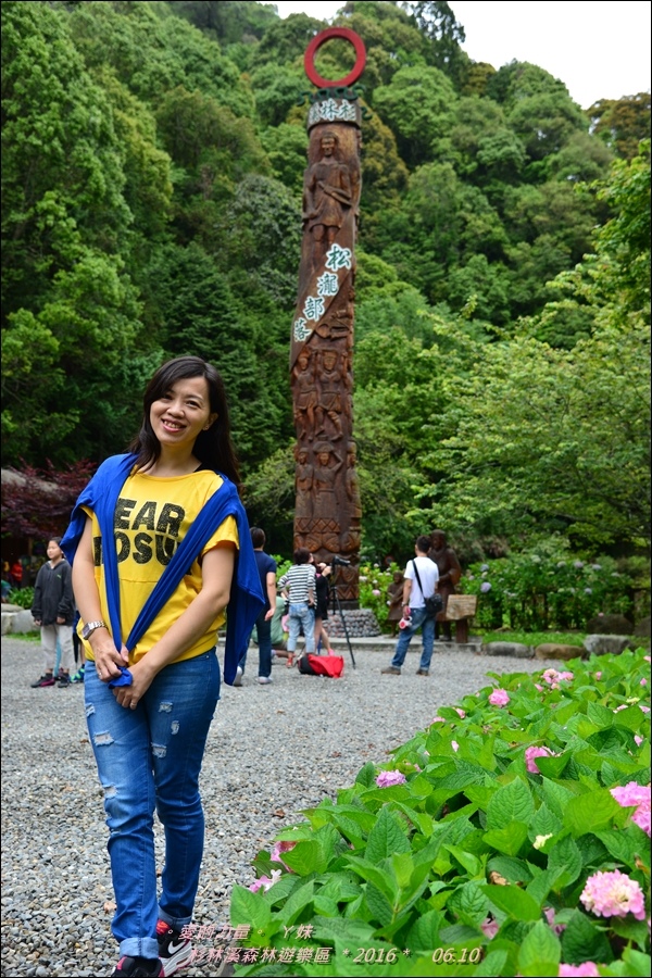 杉林13.jpg 杉林13.jpg