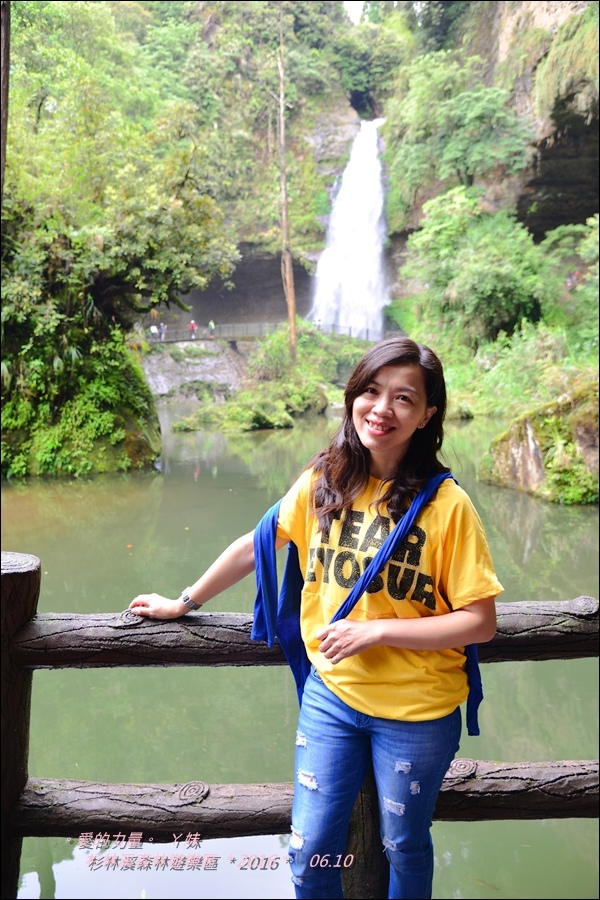 杉林17.jpg 杉林17.jpg