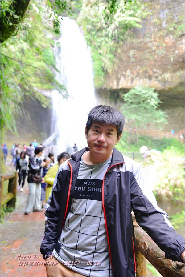 杉林19.jpg 杉林19.jpg