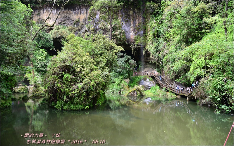 杉林21.jpg 杉林21.jpg