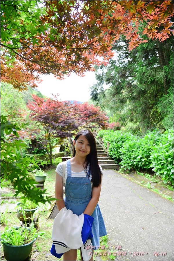 杉林30.jpg 杉林30.jpg