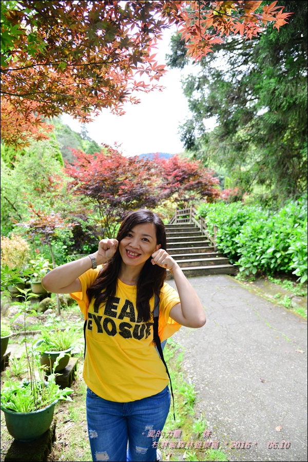 杉林32.jpg 杉林32.jpg