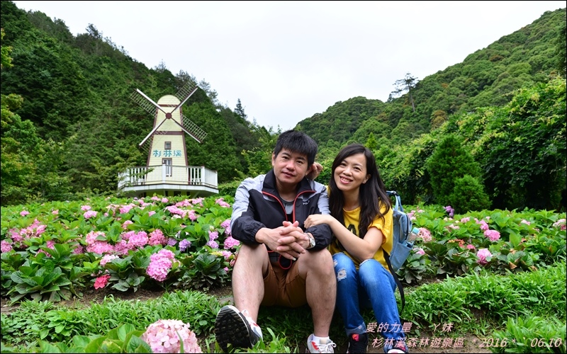 杉林36.jpg 杉林36.jpg