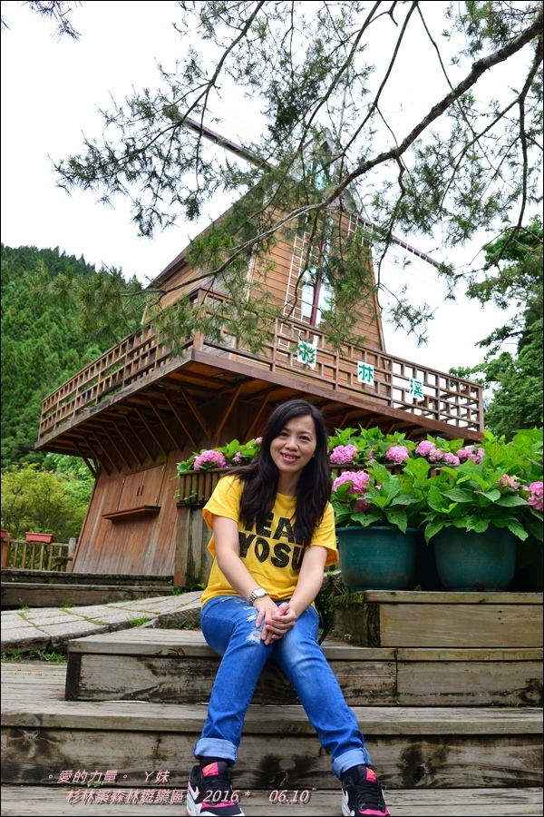 杉林51.jpg 杉林51.jpg