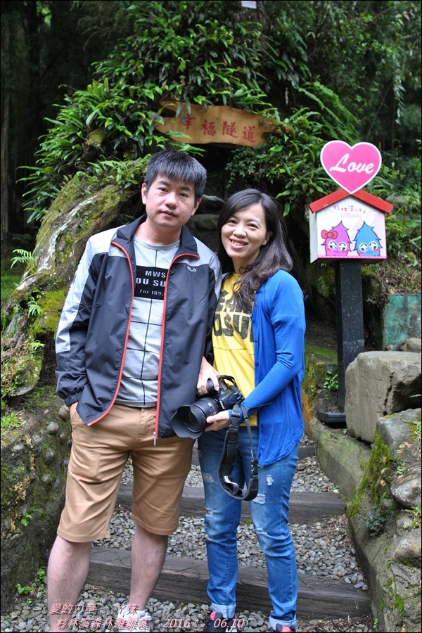 杉林62.jpg 杉林62.jpg