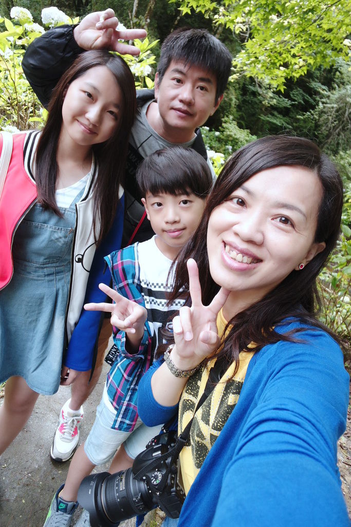 杉林63.jpg 杉林63.jpg