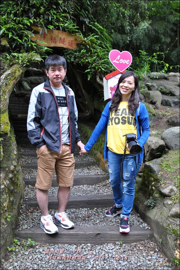 杉林61.jpg 杉林61.jpg