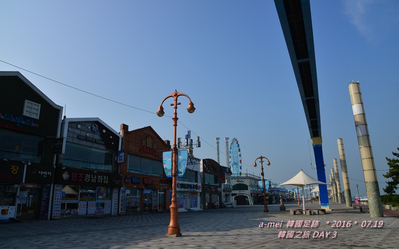 海鷗1.jpg 海鷗1.jpg