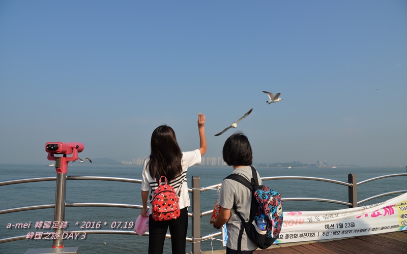 海鷗2.jpg 海鷗2.jpg