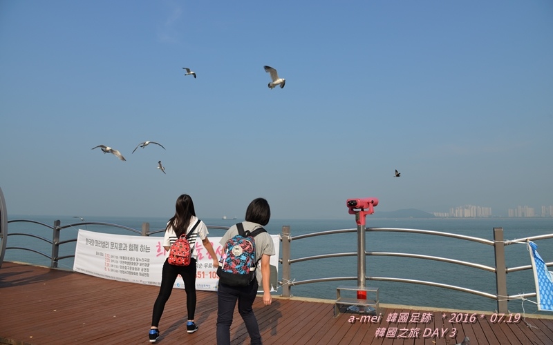 海鷗5.jpg 海鷗5.jpg