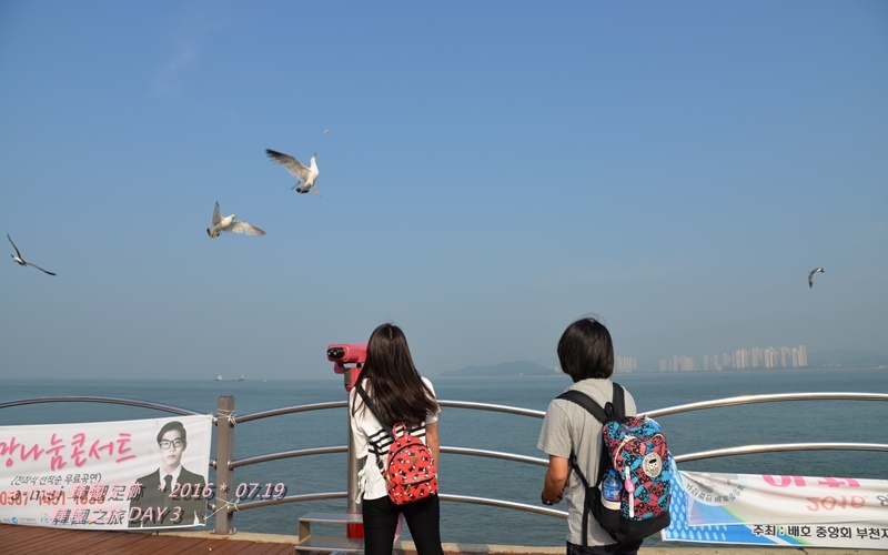 海鷗3.jpg 海鷗3.jpg