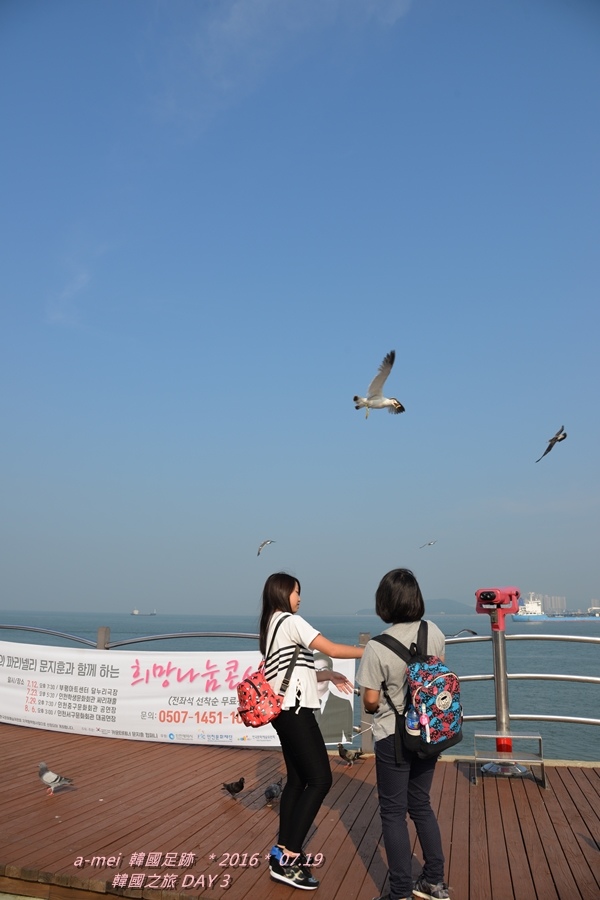 海鷗7.jpg 海鷗7.jpg