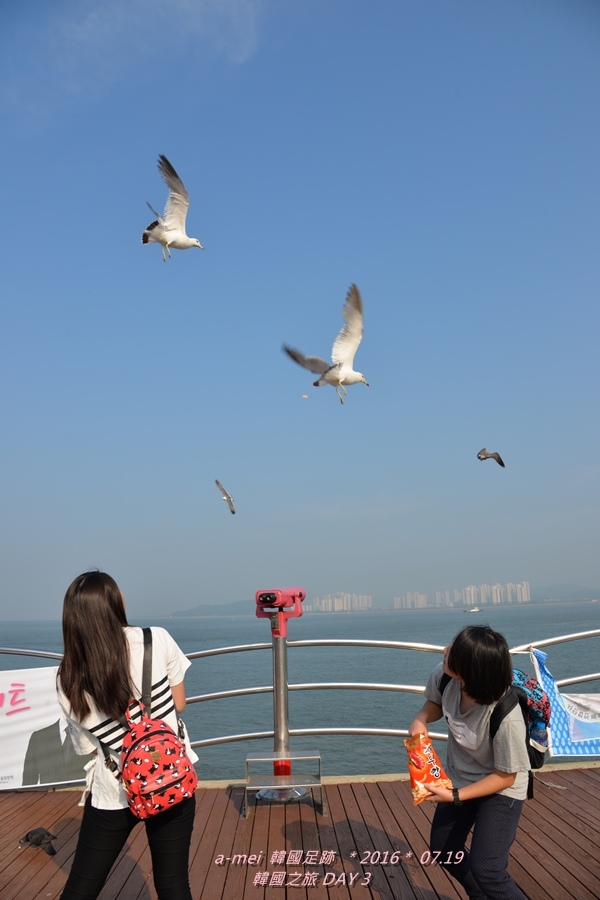 海鷗6.jpg 海鷗6.jpg