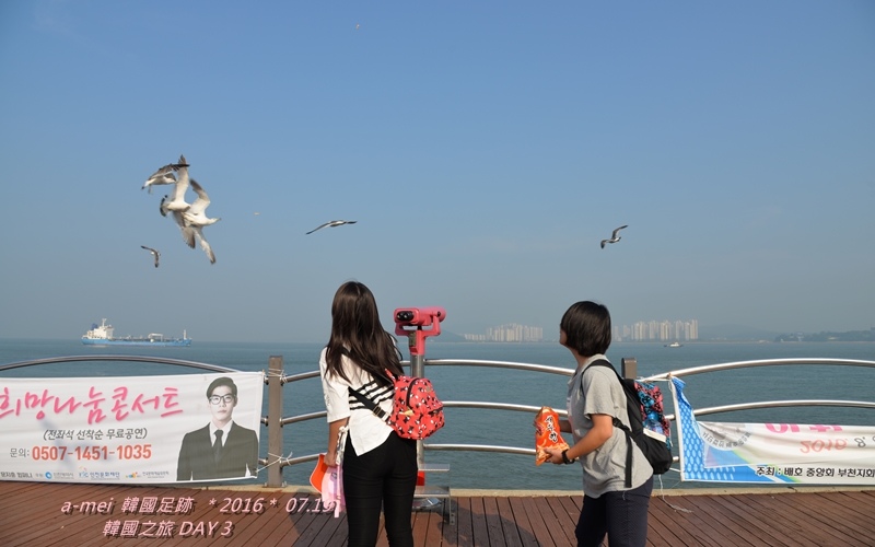 海鷗4.jpg 海鷗4.jpg