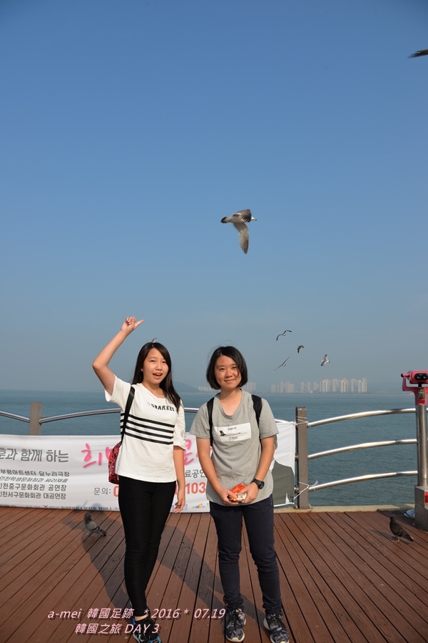 海鷗8.jpg 海鷗8.jpg