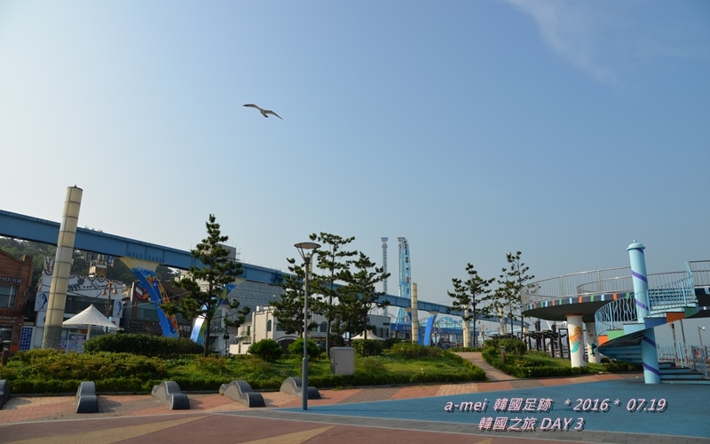 海鷗10.jpg 海鷗10.jpg