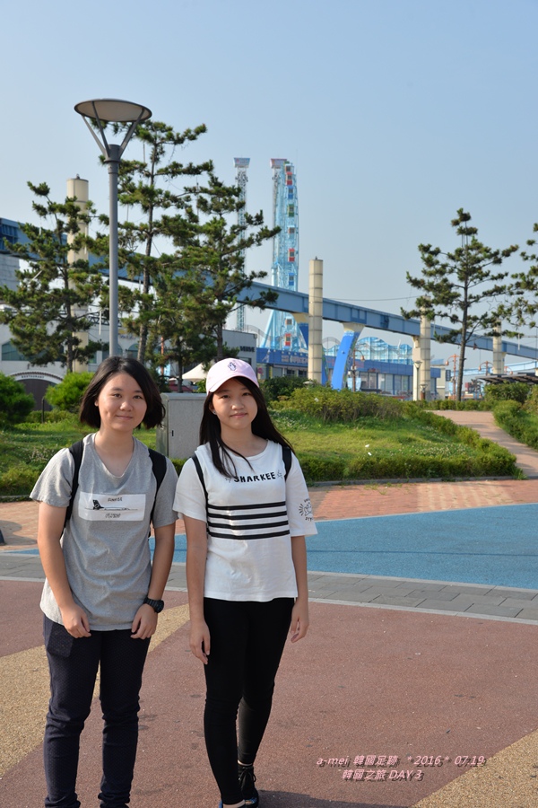 海鷗11.jpg 海鷗11.jpg