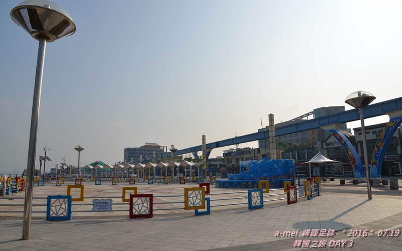 海鷗9.jpg 海鷗9.jpg