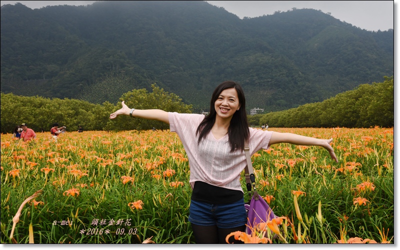 金針7.jpg 金針7.jpg