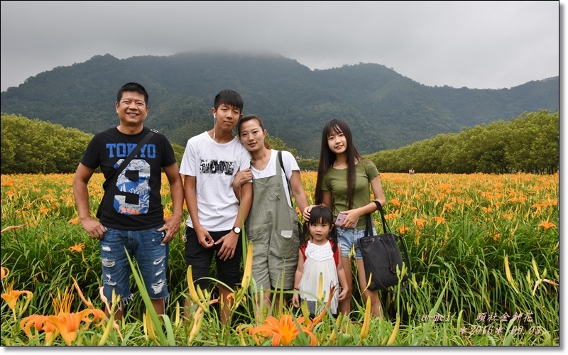 金針8.jpg 金針8.jpg