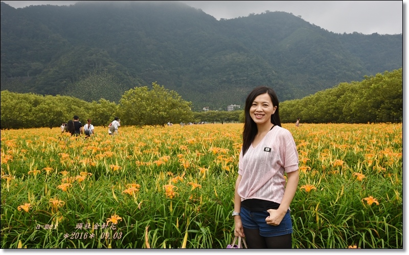 金針9.jpg 金針9.jpg