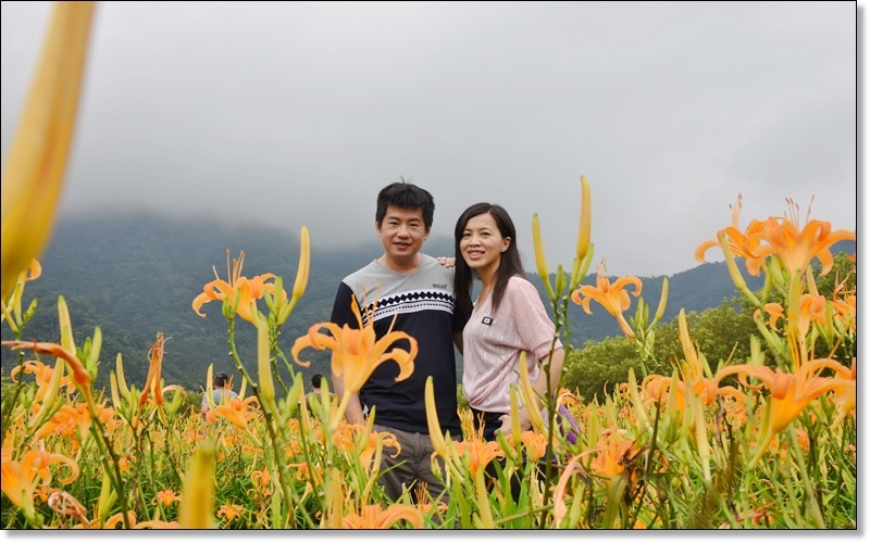 金針17.jpg 金針17.jpg