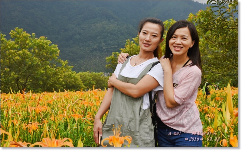 金針15.jpg 金針15.jpg