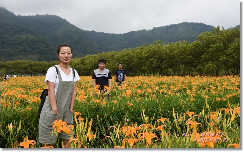 金針20.jpg 金針20.jpg