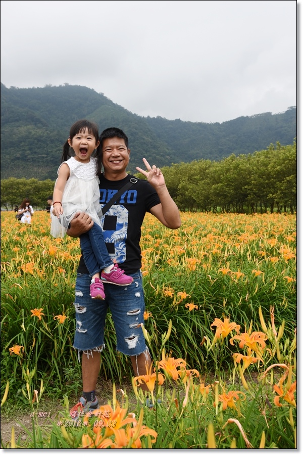 金針19.jpg 金針19.jpg