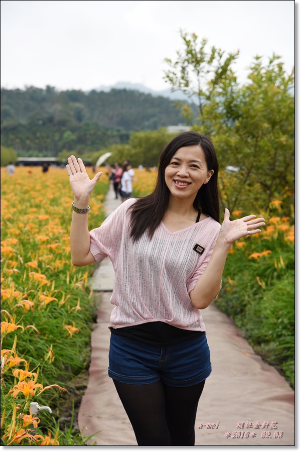 金針24.jpg 金針24.jpg