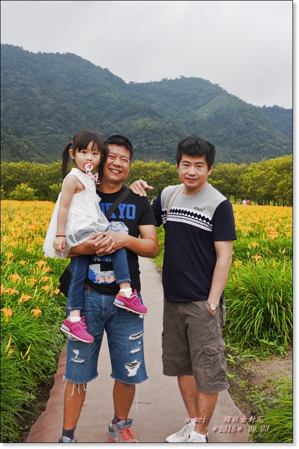 金針25.jpg 金針25.jpg